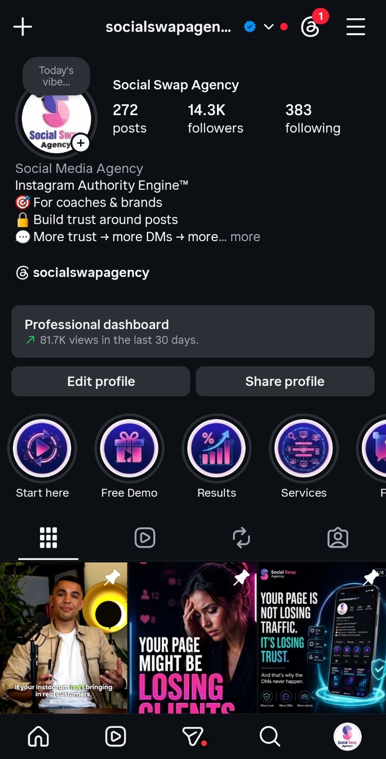 Social Swap Agency Instagram profile screenshot